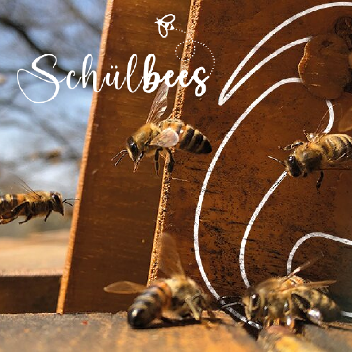 Nachhaltigkeitsprojekt "Schülbees"